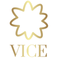 vice.ge